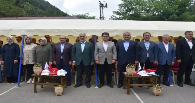 Trabzon’da coğrafi işaretli “Arsin Foşa fındığı“nın hasadı başladı