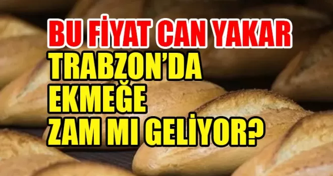 Trabzon’da ekmeğe zam mı yapılacak? Bu fiyat cep yakar...