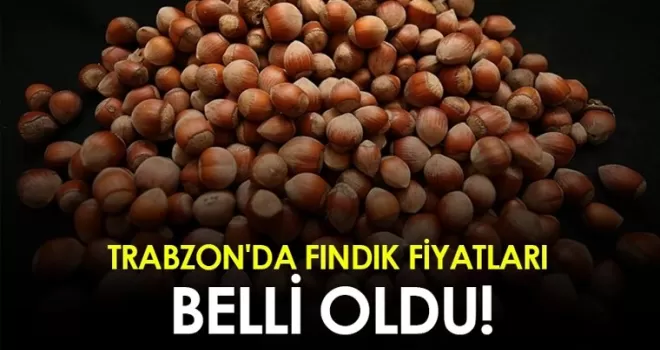 Trabzon’da fındık fiyatları belli oldu!