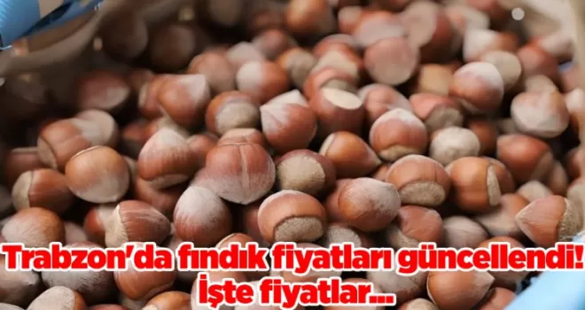 Trabzon’da fındık fiyatları güncellendi! İşte fiyatlar...