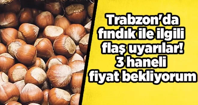 Trabzon’da fındık ile ilgili flaş uyarılar! 3 haneli fiyat bekliyorum