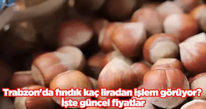 Trabzon’da fındık kaç liradan işlem görüyor? İşte güncel fiyatlar