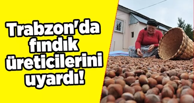 Trabzon’da fındık üreticilerini uyardı!