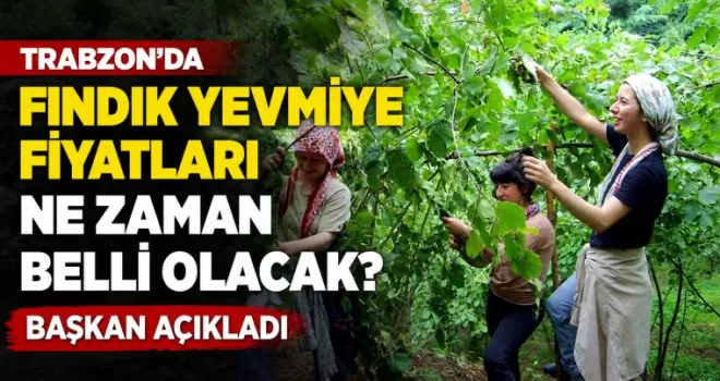 Trabzon’da fındık yevmiye fiyatları ne zaman belli olacak? Başkan açıkladı