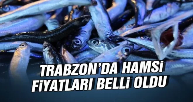 Trabzon'da hamsi fiyatları!