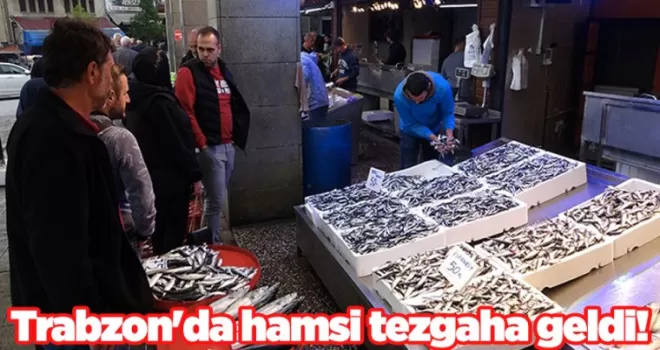 Trabzon’da hamsi tezgaha geldi! Vatandaş akın etti