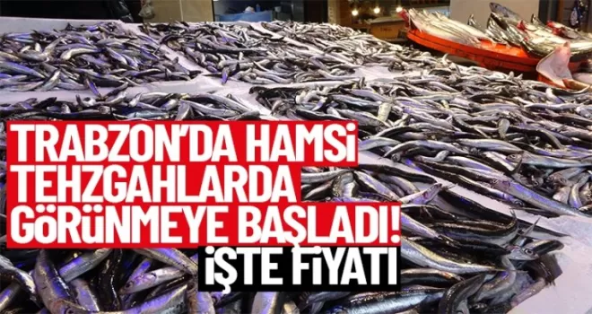 Trabzon'da hamsi tezgahlarda görünmeye başladı. İşte fiyatı