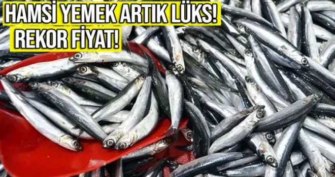Trabzon'da hamsi yemek artık lüks olacak!