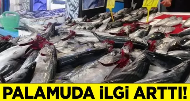 Trabzon’da Havalar Serinledi, Palamuda İlgi Arttı!