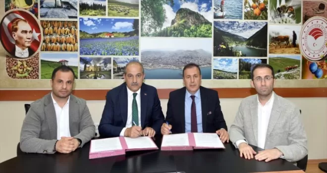 Trabzon’da isabella üzümü yetiştiriciliğine devlet desteği