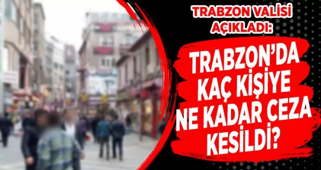 Trabzon'da kaç kişiye ne kadar ceza kesildi?