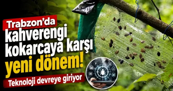 Trabzon’da kahverengi kokarcaya karşı yeni dönem!