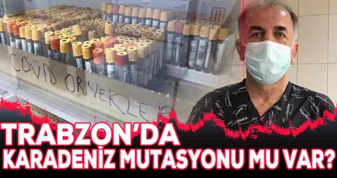 Trabzon'da 'Karadeniz mutasyonu'  var mı?