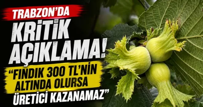 Trabzon’da kritik açıklama! “Fındık 300 TL’nin altında olursa üretici kazanamaz“