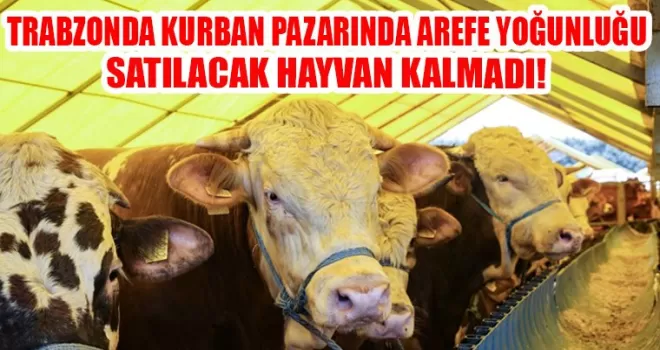 Trabzon’da kurban pazarında arife günü yoğunluğu...’’Pazarda hayvan da kalmadı’’