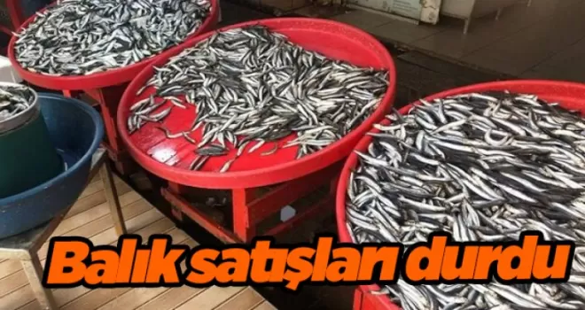 Trabzon’da ramazanın gelmesiyle balık satışları durdu