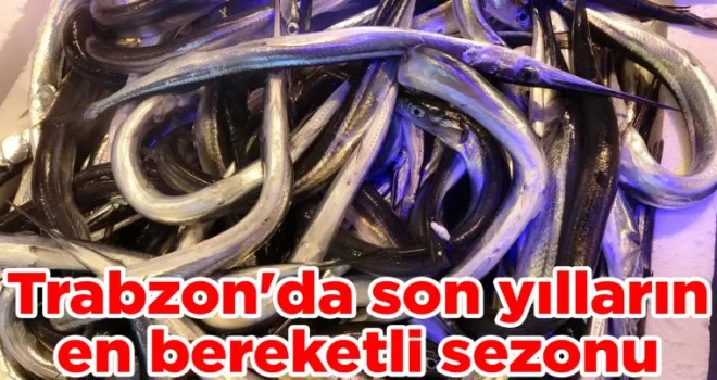 Trabzon’da son yılların en bereketli sezonu