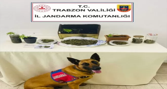 Trabzon’da uyuşturucu operasyonunda 1 kişi gözaltına alındı