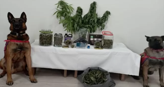 Trabzon'da uyuşturucu ticareti yapan kişi gözaltına alındı
