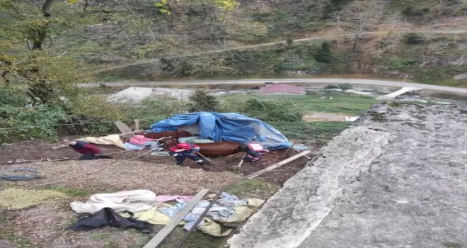 Trabzon’da yamaçtan yuvarlanan inek itfaiye ekiplerince kurtarıldı
