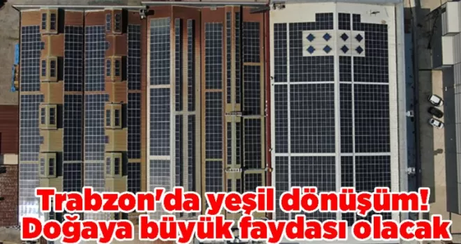 Trabzon’da yeşil dönüşüm! Doğaya büyük faydası olacak