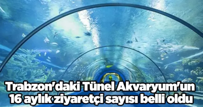 Trabzon’daki Tünel Akvaryum’un 16 aylık ziyaretçi sayısı belli oldu
