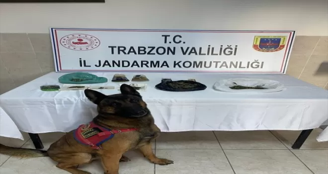 Trabzon'daki uyuşturucu operasyonunda 2 kişi yakalandı