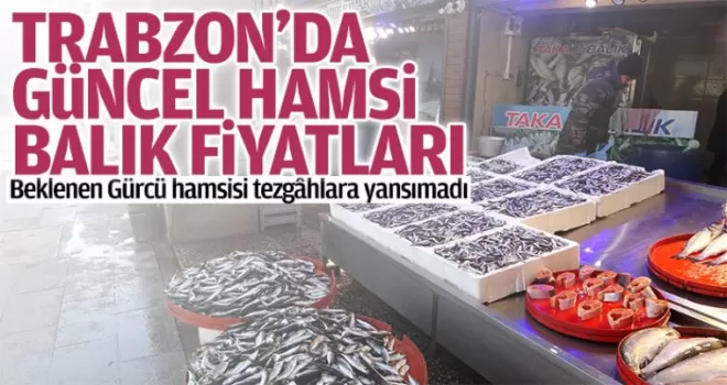Trabzon güncel hamsi ve balık fiyatları