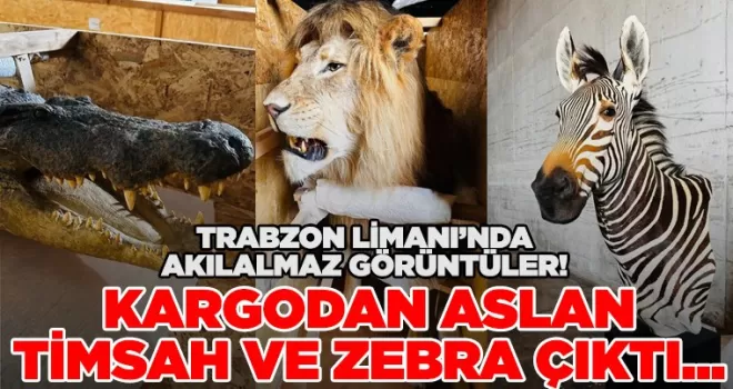 Trabzon Limanında akılalmaz görüntüler!