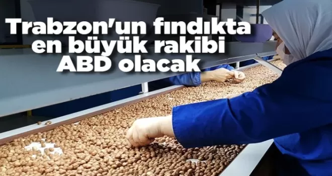 Trabzon'un fındıkta en büyük rakibi ABD olacak