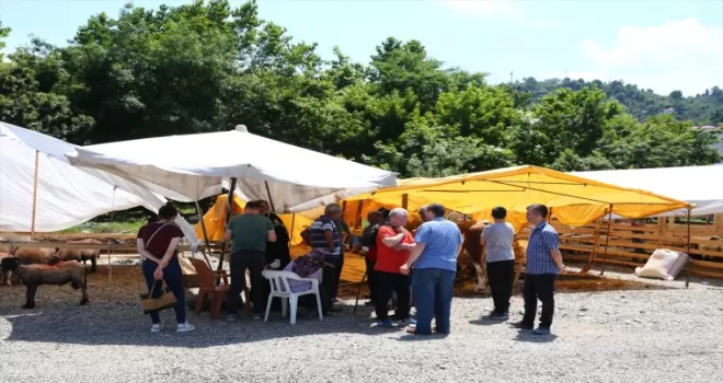 Trabzon ve Giresun’da kurban pazarları ve kesim yerlerinde yoğunluk yaşanıyor