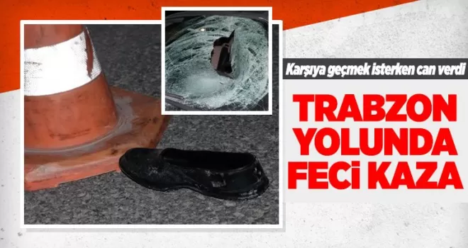Trabzon yolunda feci kaza! Karşıdan karşıya geçmek isterken can verdi