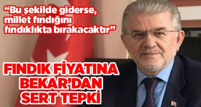 Trabzon Ziraat Odası Başkanından fındık fiyatlarına eleştiri!