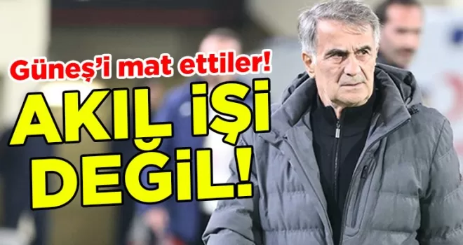 “Trezeguet’in Gönderilmesi Akılcı Değil“