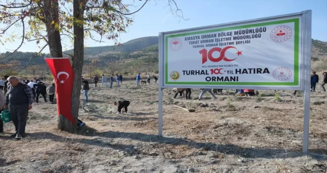 Turhal’da 100. yıl hatıra ormanına fidan dikildi