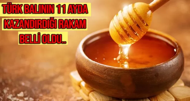 Türk balının 11 ayda kazandırdığı rakam belli oldu