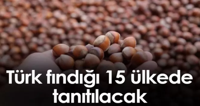 Türk fındığı 15 ülkede tanıtılacak