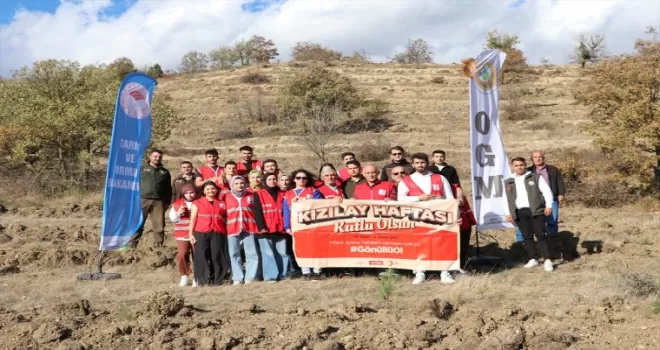 Türk Kızılay Havza İlçe Temsilciliğinden fidan dikimi