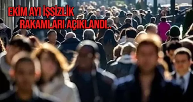 Türkiye'de ekim ayı işsizlik rakamları açıklandı