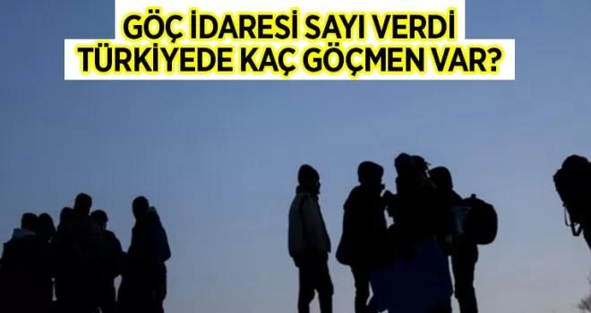 Türkiye’deki göçmen sayısı açıklandı