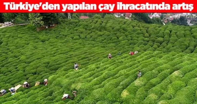 Türkiye’den yapılan çay ihracatında artış