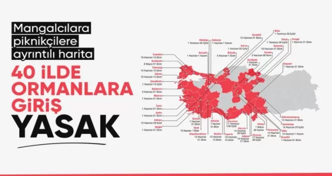 Türkiye genelinde 40 ilde ormanlara giriş yasağı
