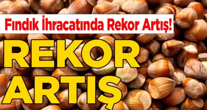 Türkiye’nin Fındık İhracatında Rekor Artış