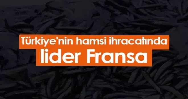 Türkiye'nin hamsi ihracatında lider Fransa