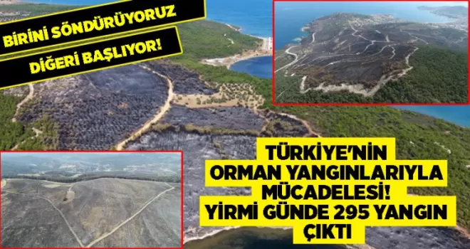 Türkiye’nin orman yangınlarıyla mücadelesi! Yirmi günde 295 yangın çıktı