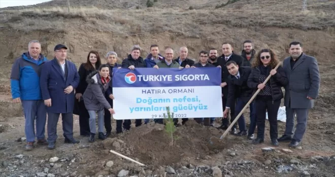 Türkiye Sigorta Ormanı Sivas'ta yeşerecek