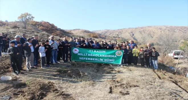 Uğurludağ ilçesinde 300 fidan toprakla buluşturuldu