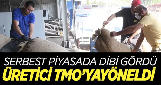 Üretici TMO'ya yöneldi