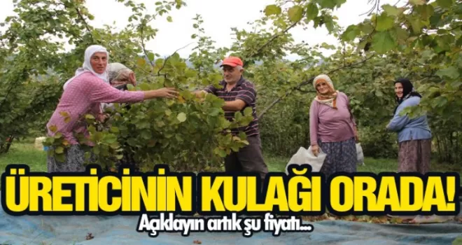 Üreticinin kulağı orada! Açıklayın artık şu fiyatı...
