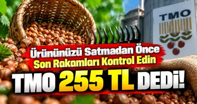 Ürününüzü Satmadan Önce Son Rakamları Kontrol Edin